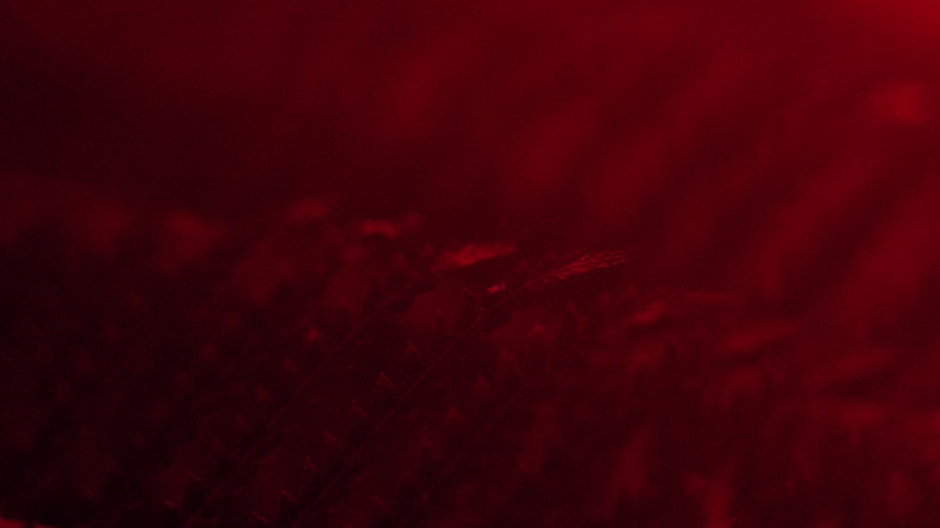 Filmstill